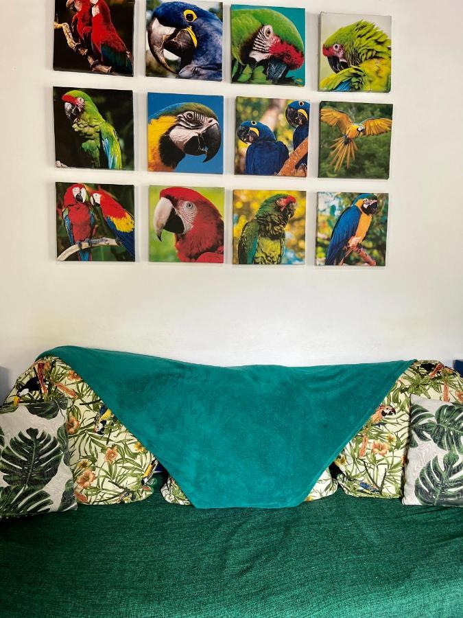 Hostel Papagaio 格兰德岛 外观 照片